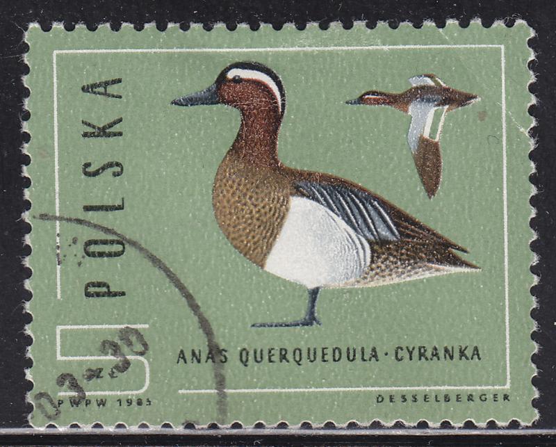Poland 2699 Wild Ducks, Anas Querquedula 5.00zł 1985