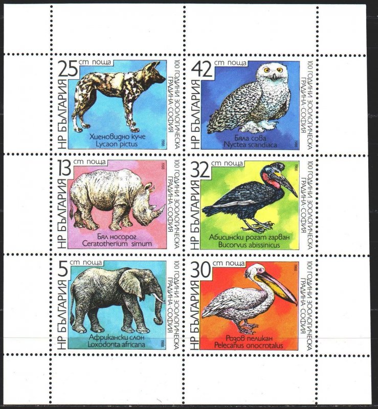 Bulgaria. 1988. ml 3657-62. Zoo, fauna. MNH.