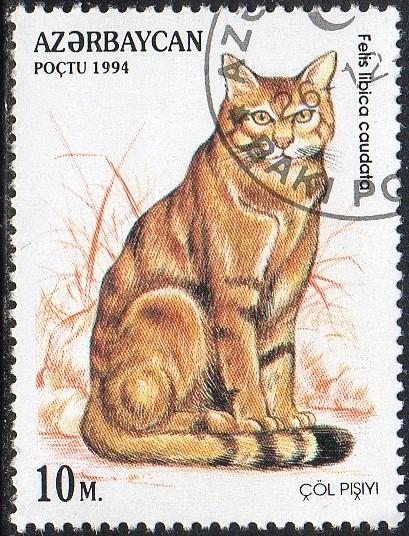 Azerbaijan 464 - Cto - 10m African Wildcat (1994) (cv $0.30) (2)