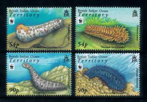 [78244] British Indian Ocean Territory 2008 Marine Life Sea Cucumber WWF  MNH