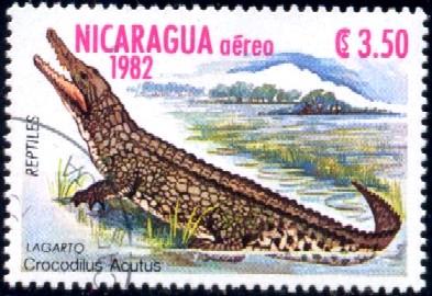 Crocodile, Nicaragua stamp SC#C1036 Used