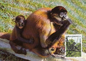 Honduras 1990 Maxicard Sc #C792 20c Geoffroy's spider monkey WWF