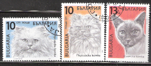 Bulgaria  Used stamps  # 3513 3514 3515 Cats  