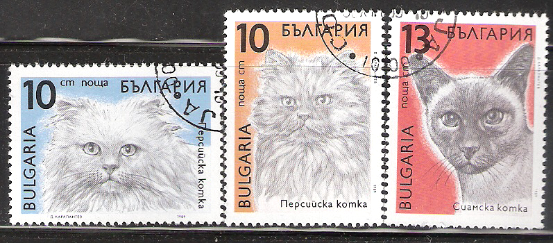 Bulgaria  Used stamps  # 3513 3514 3515 Cats  