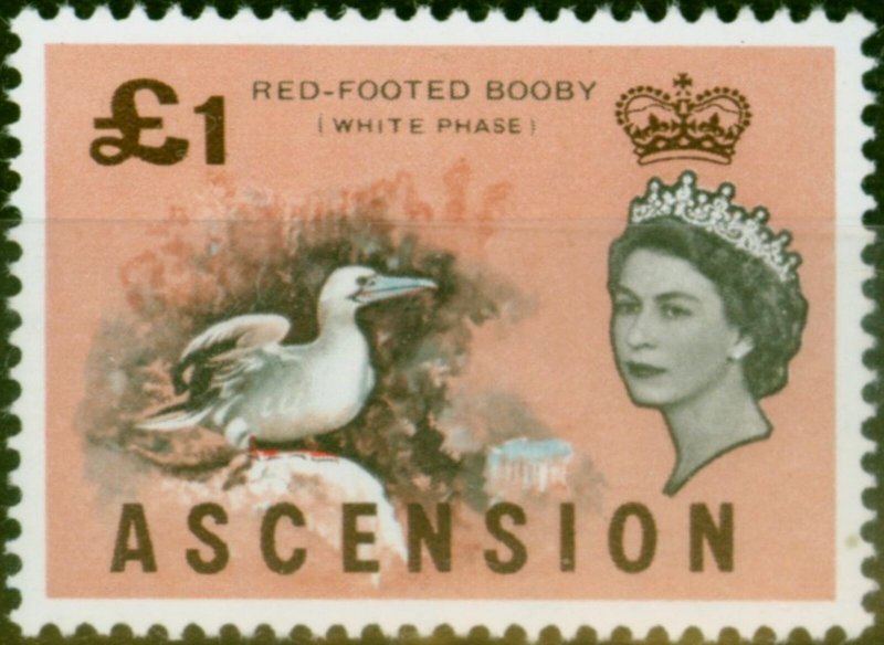 Ascension 1963 £1 Red-Footed Booby SG83 V.F MNH 