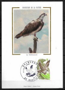 FRANCE STAMPS, 1978,  MAXI CARD MC MAXIMUM CARD OSPREY 