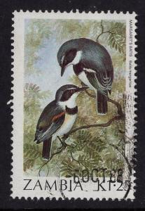 Zambia   #382   used  1987  birds  1.25k  Margaret`s batis