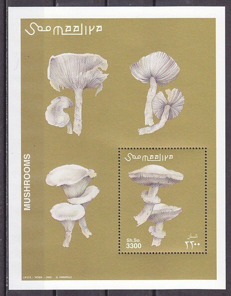 Somalia, 2002 issue. Various Mushrooms s/sheet. ^