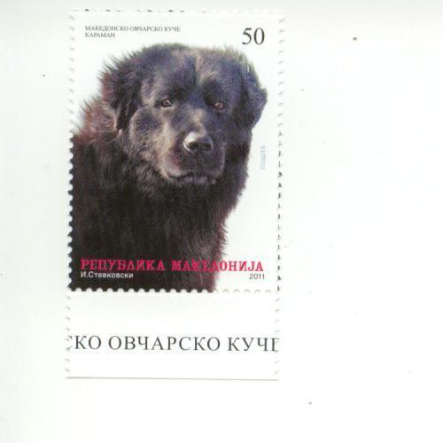 2011 Macedonia Shepard Dog (Scott 556) MNH