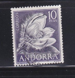 Andorra Spanish 61 U Flower (B)