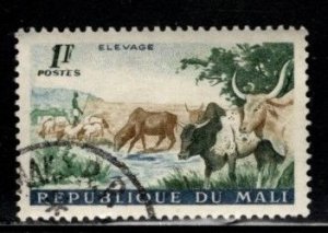 Mali - #17 Cattle - Used