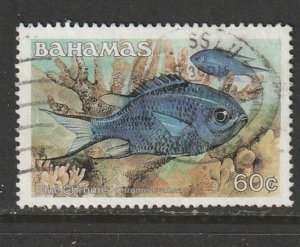 1986 Bahamas - Sc 614 - used VF - 1 single - Blue chromis