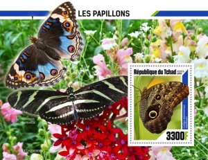 Chad - 2020 Giant Owl Butterflies - Stamp Souvenir Sheet - TCH200508b