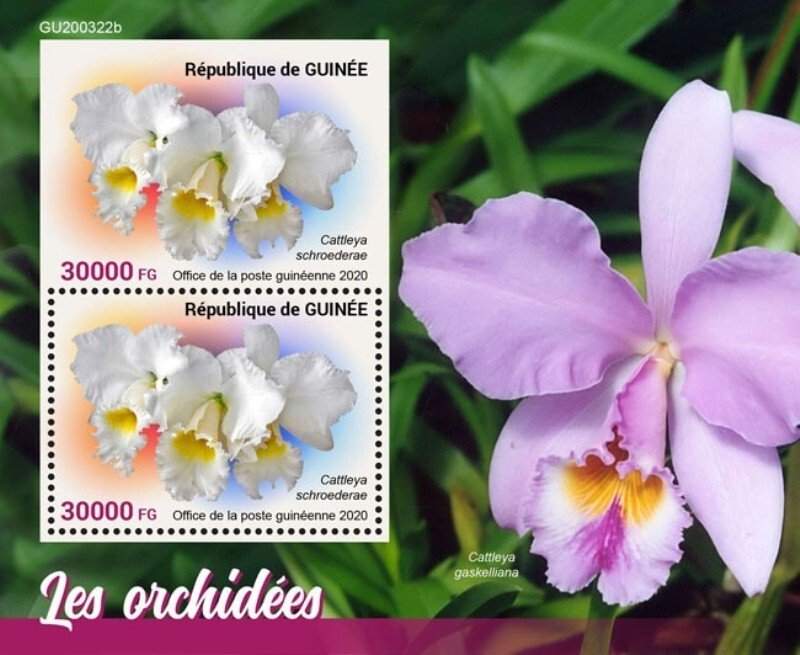Guinea - 2020 Orchid Flowers - 2 Stamp Souvenir Sheet - GU200322b