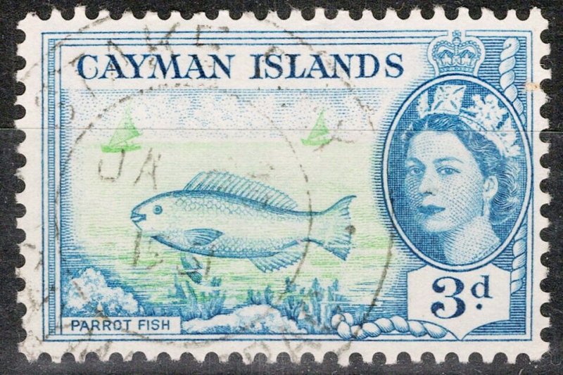 ZAYIX Cayman Islands 141 Used Parrot Fish Marine Life 072822S10M