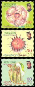 Brunei 2000 Scott #556-558 Mint Never Hinged