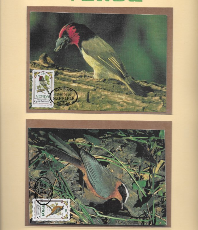 VENDA  1985 SONGBIRDS CYL.BLOCKS U/M PLUS MAXIMUM CARDS