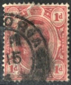 TRANSVAAL #282 - USED FAULT - 1905 - TRANS016