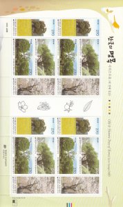 South Korea: Sc #2381, S/S,MNH, Old & Historic Tree (S18995)