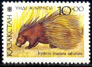 Porcupine, Hystrix Leucura, Kazakhstan stamp SC#42 MNH