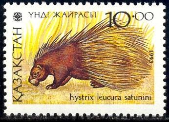 Porcupine, Hystrix Leucura, Kazakhstan stamp SC#42 MNH