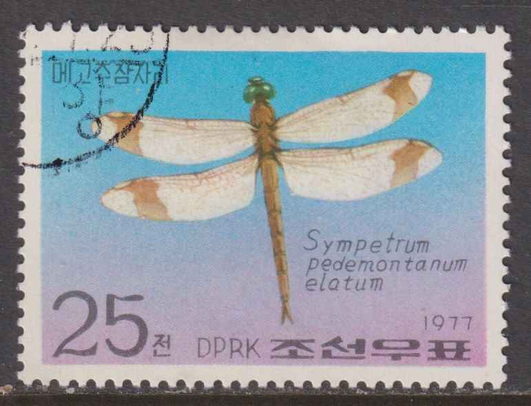 North Korea 1605 Sympetrum Pademontanum Elatum 1977