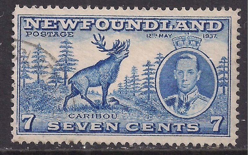 Newfoundland 1937 KGV1 7ct Caibou used SG 259 ( B705 )