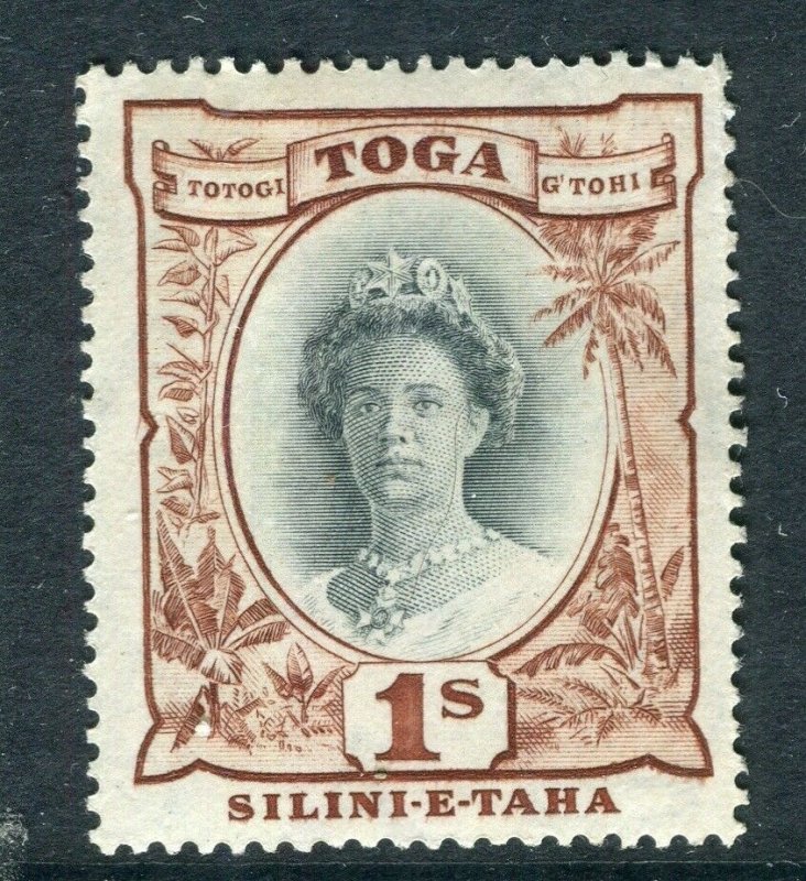 TONGA; 1920 early Pictorial issue Mint hinged 1s. value