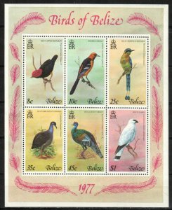 Belize Stamp 392a  - Birds of Belize, 1977