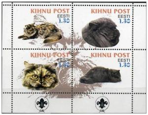 KIHNU POST SHEET CATS
