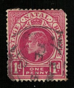 1902 -1912 King Edward VII Natal Revenue South Africa 1d (TS-518)