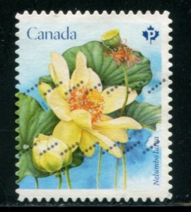 3091 Canada P Lotus Flowers SA, used