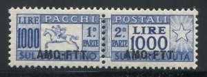 Trieste A - Postal parcels Lire 1.000 pony perforated with comb