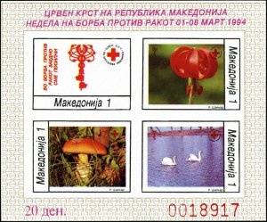 Macedonia 1994 MNH Stamps Miniature Sheet Scott RA47a Im Red Cross Cancer Health