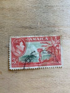 Jamaica 1955