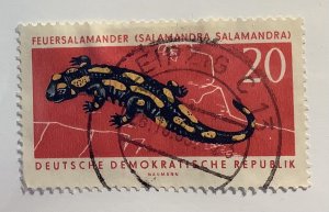 Germany DDR 1963 Scott 664 used - 20pf, Protected Animals, Banded Salamander