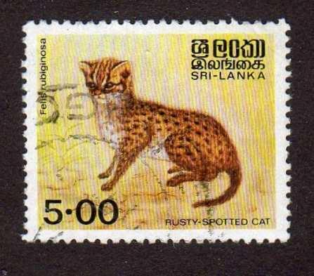 Sri Lanka 730A - Used - Rusty-spotted Cat (cv $0.30)