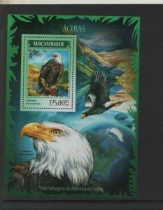 Thematic stamps Birds - Mozambique 2014 Eagles mini sheet - mint