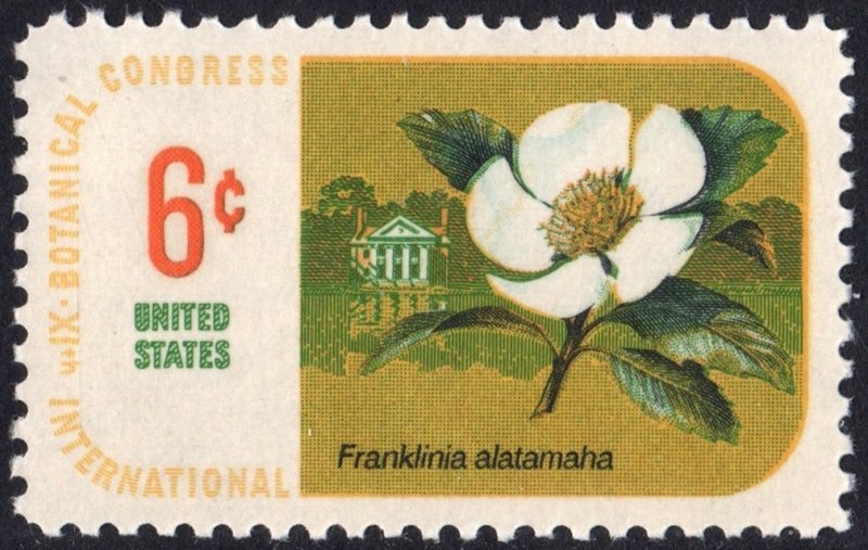 SC#1379 6¢ Botanical Congress Single (1969) MNH
