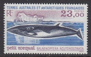 FSAT 208 Minke Whale mnh