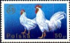 Cock, Hen, European Zootechnical Fed., Poland SC#2097 MNH