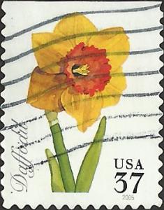 # 3901 USED DAFFODIL