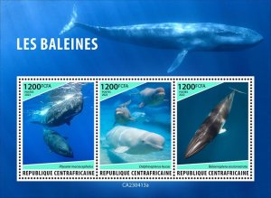 C A R - 2023 - Whales - Perf 3v Sheet  - Mint Never Hinged