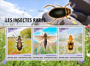 Central Africa - 2023 Rare Insects, Ground Beetle - 3 Stamp Sheet - CA230424a