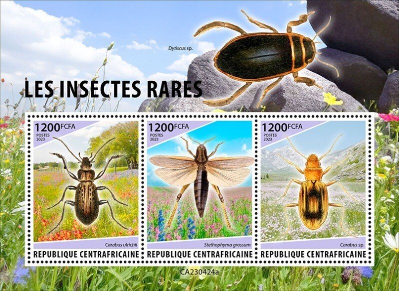 Central Africa - 2023 Rare Insects, Ground Beetle - 3 Stamp Sheet - CA230424a