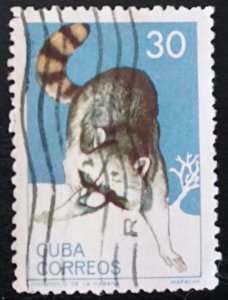 Cuba    Sc# 900  NATIONAL ZOO ANIMALS     30c RACCOON  1964 used / cto