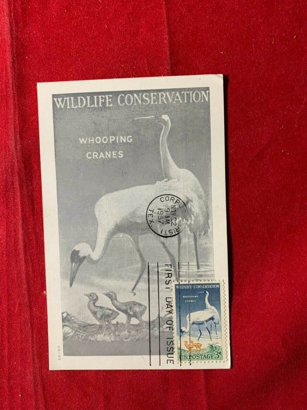 1957 scott 1098 3c wildlife conservation max card FDC