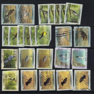 Canada - recent birds w faults