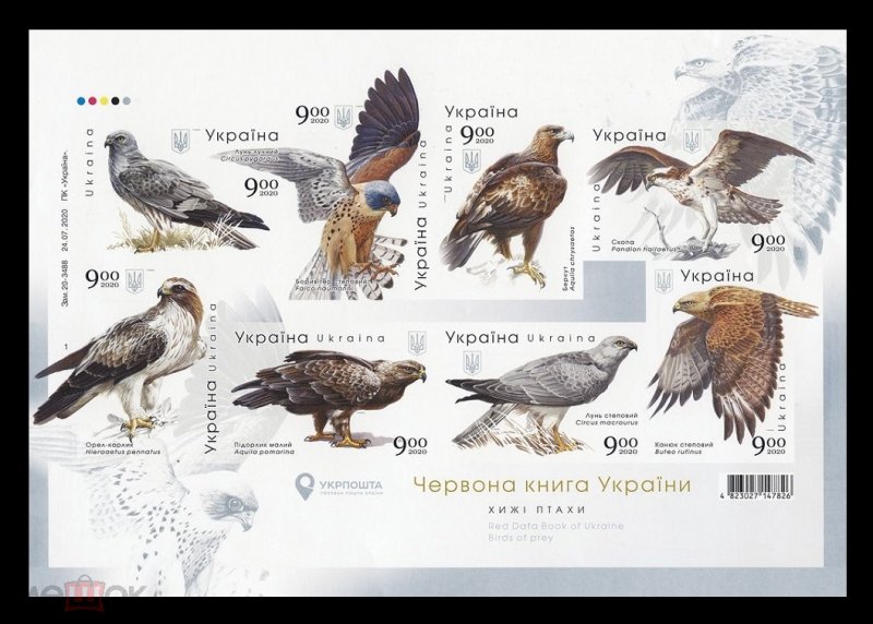 2020 Ukraine 1902-1909 Fauna. Predator birds. Imperf.