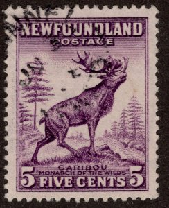 Used 191a Definitive 5c Caribou Die I